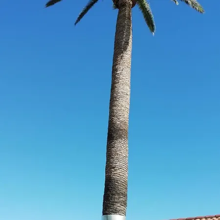 Tapias, Glorieta Puerto de la Cruz (Tenerife)