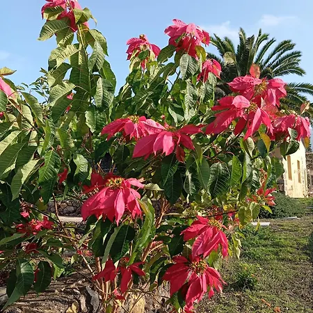 Tapias, Glorieta * بويرتو ذي لا كروز
