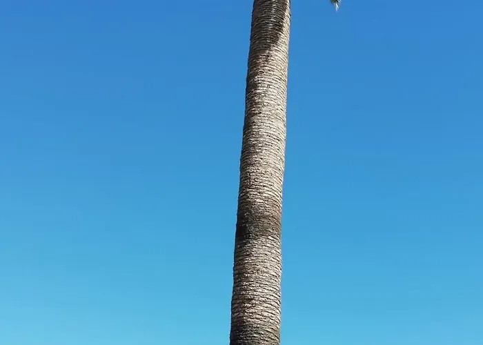 Tapias, Glorieta Puerto de la Cruz (Tenerife)