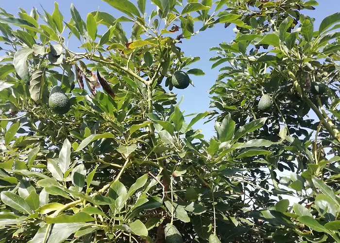 Hébergement de vacances Tapias, Glorieta *